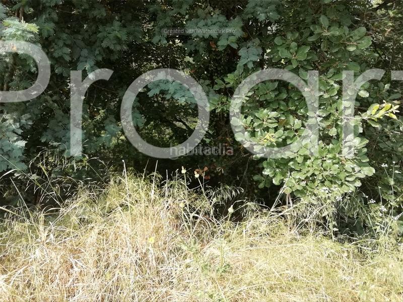 Foto 90ebb436-3312-444f-bb5b-e4adbc28d4a2. Terrain résidentiel dans Riells i Viabrea