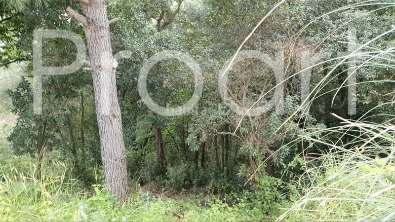 Foto fdf6d624-9af6-4d5a-bbc9-97e49842a512. Terrain résidentiel dans Riells i Viabrea