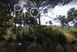 Terreno residencial  Terra nova. Terreno en la urbanización boscos de la batllòria