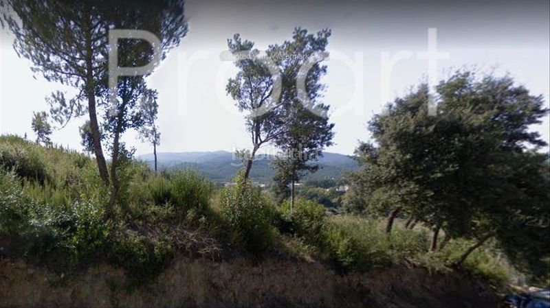 Foto f7f2c70c-32fc-43d2-87c3-791e4352ea41. Terreny residencial a Riells i Viabrea