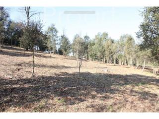 Terreny residencial  La muntanya de baix. Gran terreno en la urbanización de  boscos montnegre de sant cel