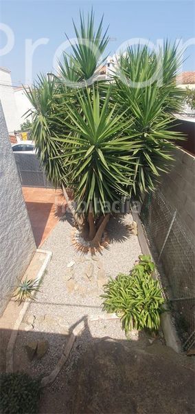 Foto 3c3ad7a2-76a0-472f-868c-8bb040758e74. Casa a Puig Rom-Canyelles-Almadrava Roses
