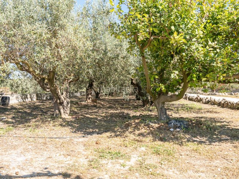 Foto 85215528-c542-4001-b670-f857cfa03351. Chalet excepcional chalet con encanto en Llutxent