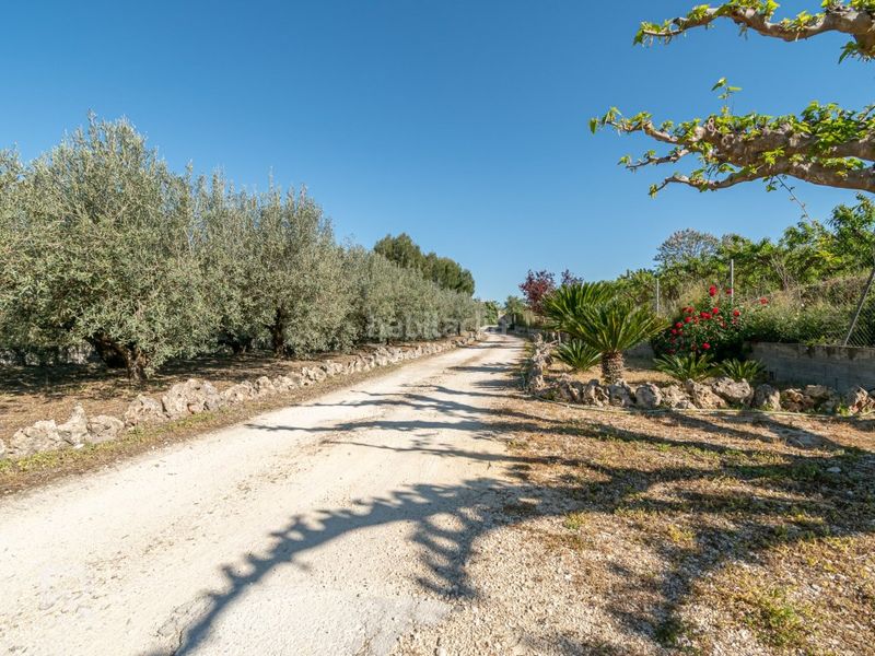 Foto 890509d2-b181-414b-bba0-b2fc0cffeb22. Chalet excepcional chalet con encanto en Llutxent