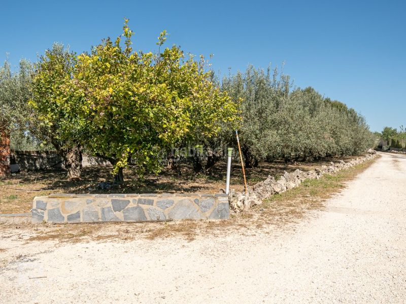 Foto b9ec80ab-61b8-45d1-8883-c0885ff91898. Chalet excepcional chalet con encanto en Llutxent