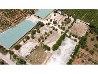 Masia a Camí pla de lloret. Excelente centro de equitación