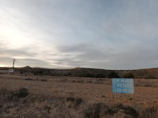 Rural plot in Mazarrón Casco Urbano