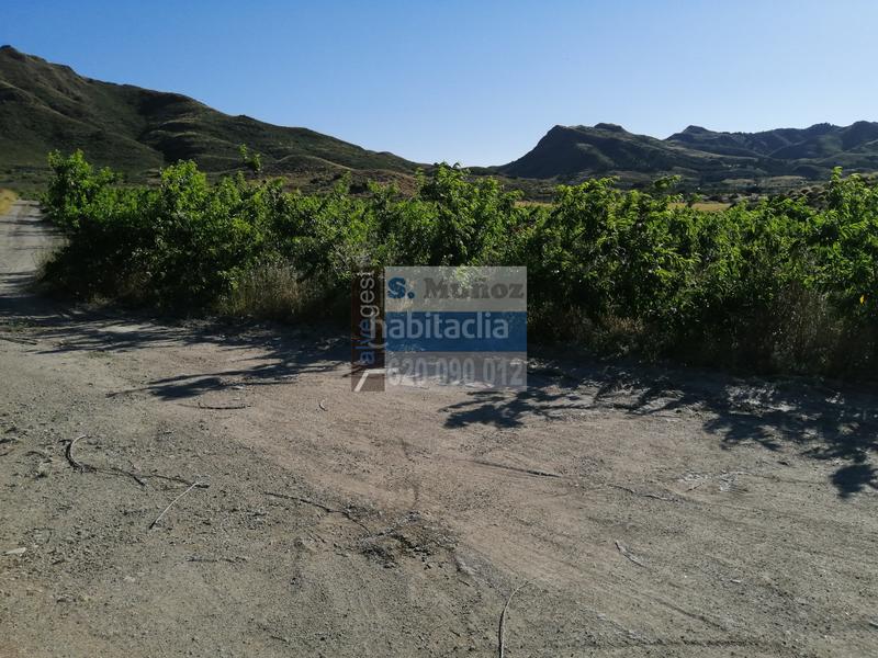 Foto 4ca85512-ca93-4a6f-a8d8-4ba2b7b38ac0. Terreno residenziale in Bahia Mazarrón