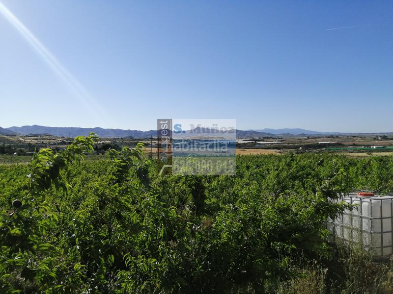 Foto 51fe4016-0de9-4934-b5f2-cb00c97918aa. Terreno residenziale in Bahia Mazarrón