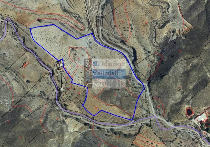 Foto 3a7b2d8c-e9e4-49f4-b6ba-5d9d6c51fa2e. Casa a Morata Lorca