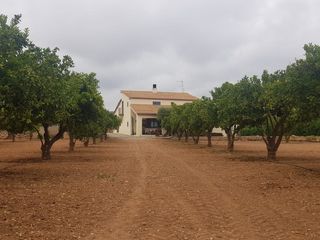 Masia a Calle cami de les planes. Vivir en plena naturaleza  en una finca impresionante