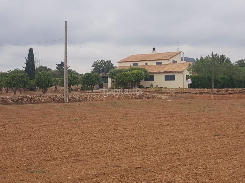 Foto a4fb04e4-e3e6-43af-b0a6-1c689654b26b. Masia a calle cami de les planes a Roda de Barà