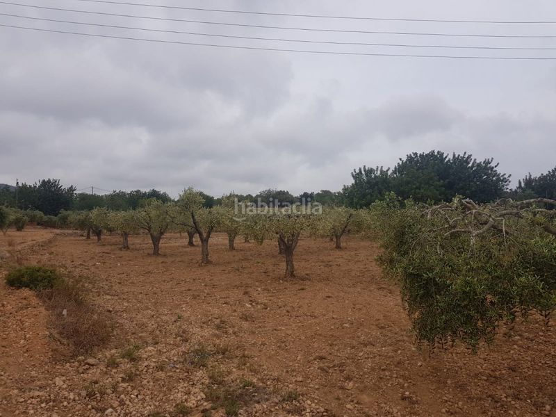 Foto f8740fb6-cf49-474b-a5fd-37d2fa268e6a. Masia a calle cami de les planes a Roda de Barà