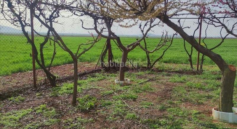 Foto 06f079b4-7961-48f0-8398-dd5b0ea2113f. Country house in Valdepeñas