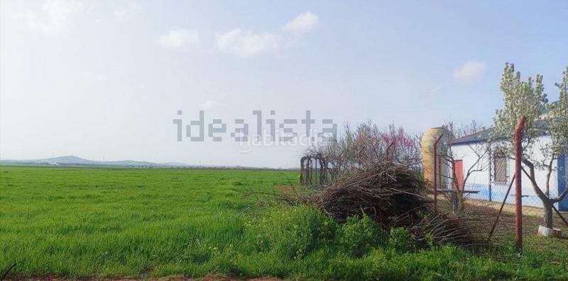 Foto aaa9d996-b732-4d87-ae7d-702c957e9c75. Country house in Valdepeñas