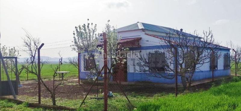 Foto c60fd6f0-db3b-494d-9787-3ef14e419ab1. Country house in Valdepeñas