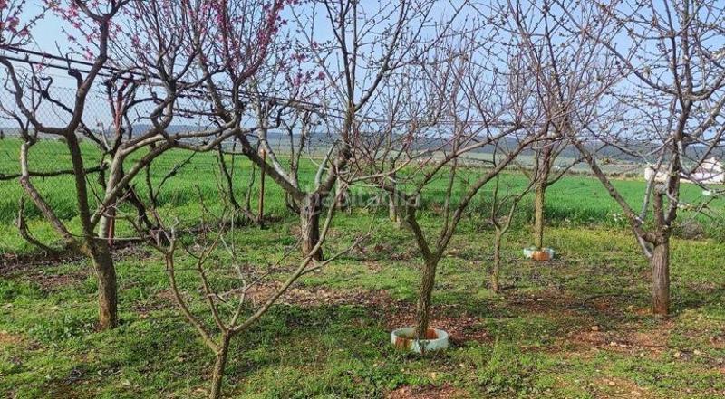 Foto d4244ca1-65f7-4134-afb6-d5562a45d4cd. Country house in Valdepeñas