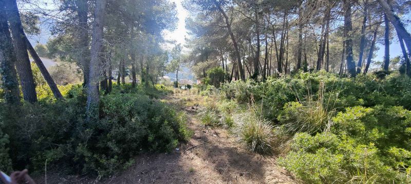 Foto 1bbabdb4-2387-4706-b9b1-f6ee3ccc32d9. Terreny residencial a Olesa de Bonesvalls