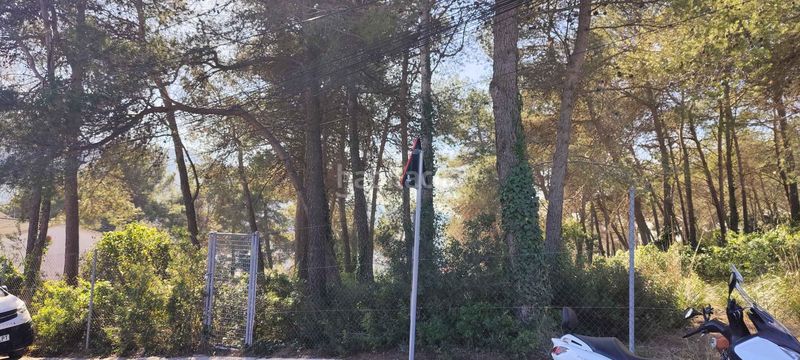 Foto 378af002-cdc3-4b60-8abd-ee4a747f2200. Terreny residencial a Olesa de Bonesvalls
