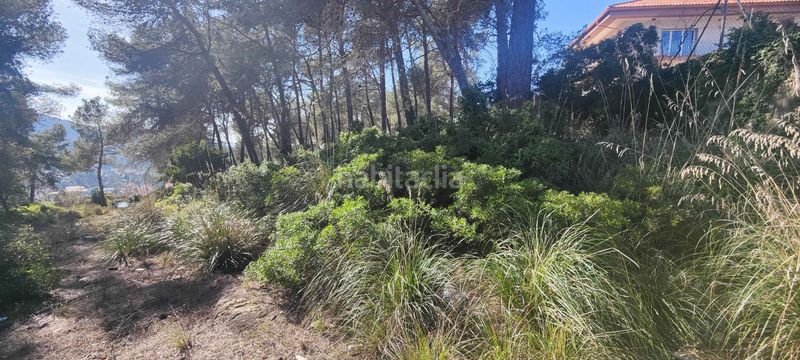 Foto 3991d342-492c-405f-b5b0-59689e4344b9. Terreny residencial a Olesa de Bonesvalls
