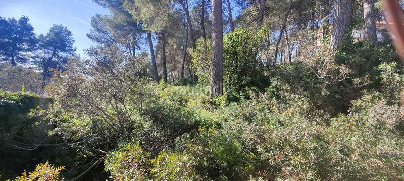 Foto 45997895-a1b1-4765-8ff6-5e84e42277ad. Terreny residencial a Olesa de Bonesvalls