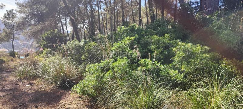 Foto 66100ee0-ad49-42a5-a2da-896d65ada18a. Terreny residencial a Olesa de Bonesvalls