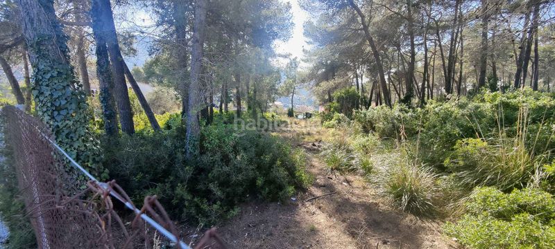 Foto 73b9a513-4e23-4773-aec9-72fafa7c0e0b. Terreny residencial a Olesa de Bonesvalls