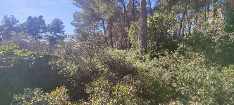 Foto e29d53a1-fe5f-4883-95c0-9b0d5f09b9a8. Terreny residencial a Olesa de Bonesvalls