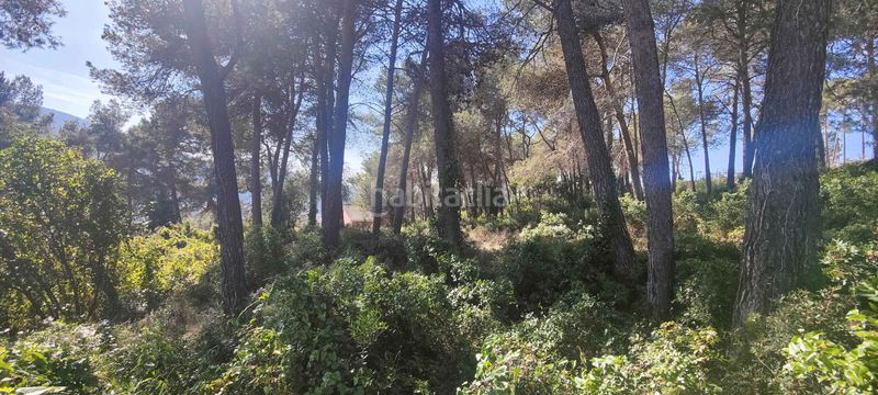 Foto f584ddc0-9245-4086-bf32-923cce332189. Terreny residencial a Olesa de Bonesvalls