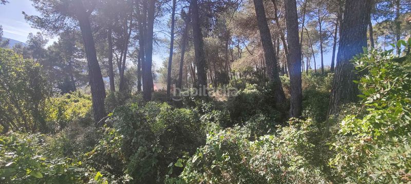 Foto ffd627f0-8f9d-4243-82ef-698fbc9ad902. Terreny residencial a Olesa de Bonesvalls