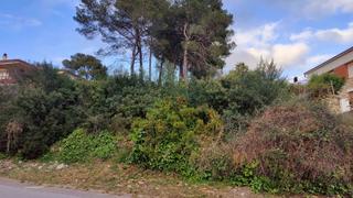 Wohngrundstück  Carrer lledoner
