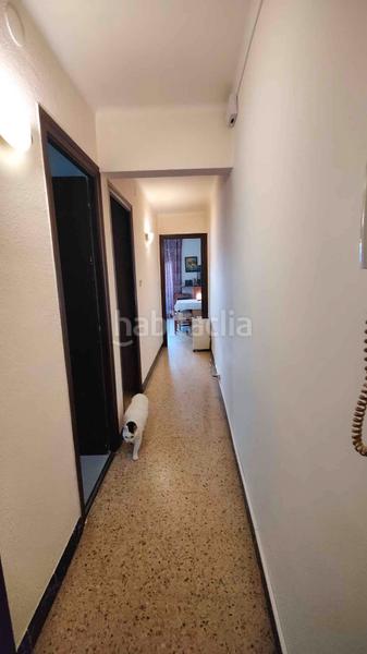 Foto bfbcad6a-fe82-4832-9ba5-c86fca85c6f3. Pis a n-340 244 a Vallirana