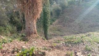 Terrain résidentiel à Vallirana. Selva negra lista para construir
