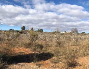 Finca rústica  Carrer muntanya. ?? terrenos rústicos en venta en real de montroy y montroy