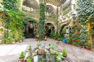 Casa en Casco Histórico  - Ribera - San Basilio. Edificio de 6 pisos independientes y 2 locales. patio cordobes c