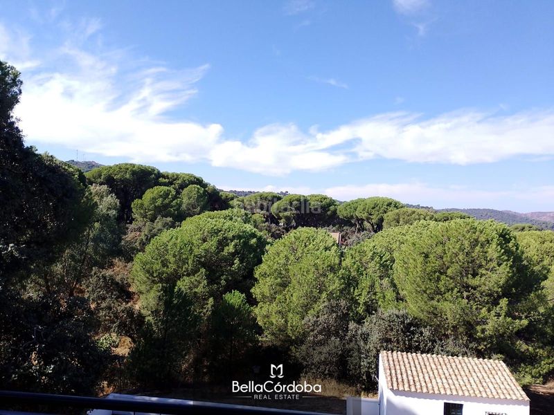 Foto a5eb6af5-5585-4d05-b4c9-b7309d1295d6. Xalet amb aparcament piscina a Cerro Muriano Córdoba