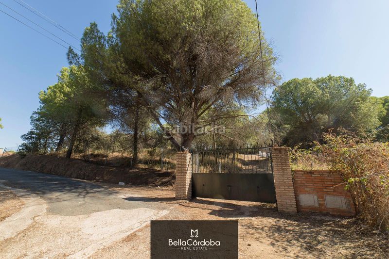 Foto b66896e5-6308-4af9-ad2d-ab561dd45a66. Xalet amb aparcament piscina a Cerro Muriano Córdoba