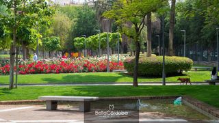 Pis a Ciudad Jardín - Zoco