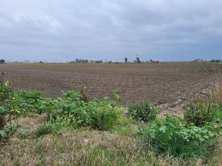 Bauernhof  Carretera. Finca rúst. en venta en sant carles de la rapita.