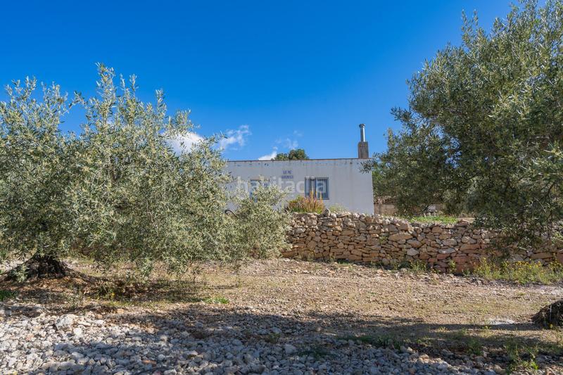 Foto 2288805c-23f2-43e4-96f2-b4fb8c6cf9fa. Masia a Alcanar