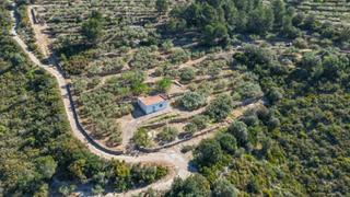 Mas  N/a. Finca rúst. en venta en alcanar, 1 dormitorio.