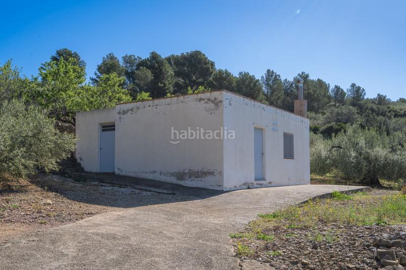 Foto 911ccf34-2d72-4cc6-9ca2-cef576104be0. Masia a Alcanar