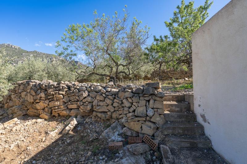 Foto e1b5ad2f-8e55-4516-bce7-6e470783e1c5. Masia a Alcanar