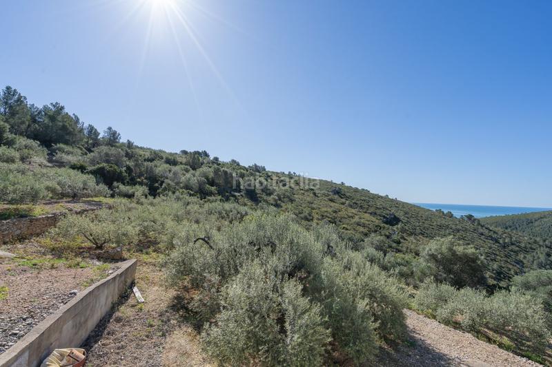 Foto f2db4641-01d3-4404-8c2b-858526150561. Masia a Alcanar