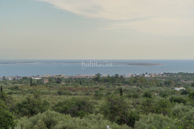 Foto a9ca50d7-510d-4d23-96ee-2a2421441ff1. Masia a Alcanar