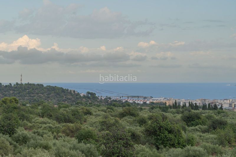 Foto cdba0037-4ec2-4305-930b-c08ab33e963c. Masia a Alcanar