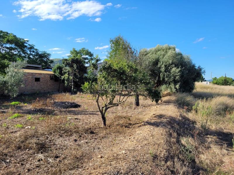 Foto 1e4f7740-101d-40f9-8515-92b323967ecb. Masía finca rúst. en venta en lligallo. en Eucaliptus - Poble Nou del Delta Amposta