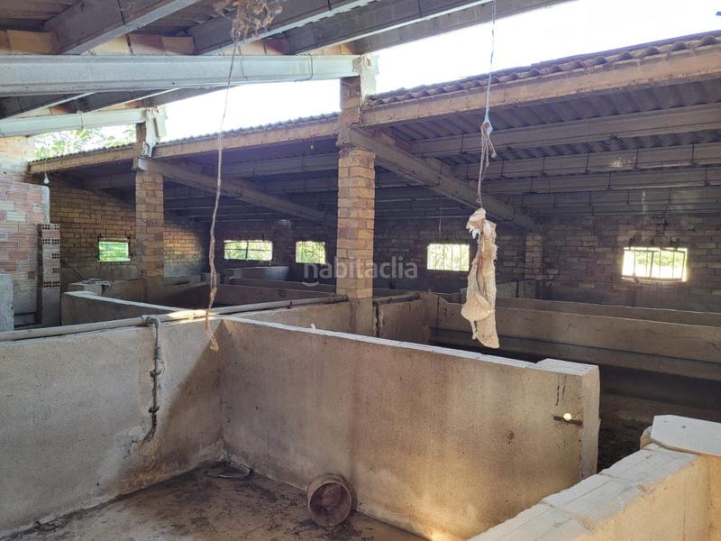Foto 4d7677c0-af7f-4a3f-8a4a-1097504fc505. Masía finca rúst. en venta en lligallo. en Eucaliptus - Poble Nou del Delta Amposta