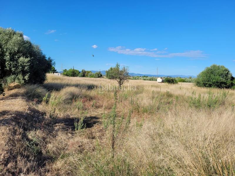 Foto 7a33d0b9-6eed-4c58-99ab-1cc50ecfcb71. Masía finca rúst. en venta en lligallo. en Eucaliptus - Poble Nou del Delta Amposta