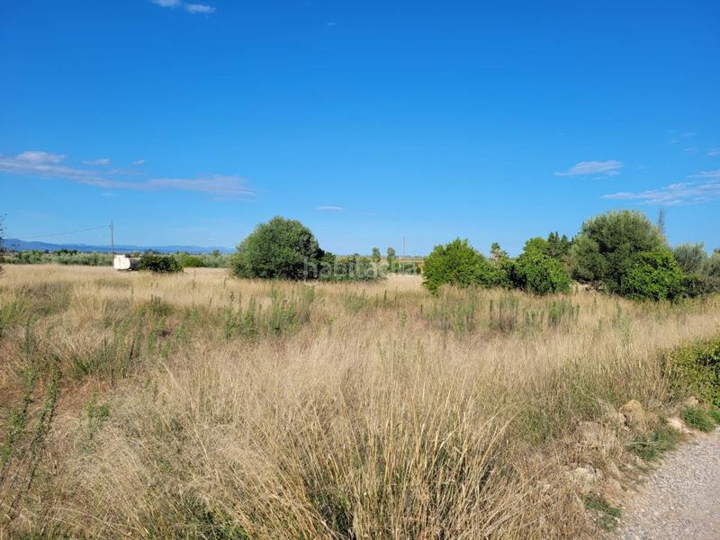 Foto 9c5c02b9-1420-44da-bc5b-fadd71d5e553. Masía finca rúst. en venta en lligallo. en Eucaliptus - Poble Nou del Delta Amposta